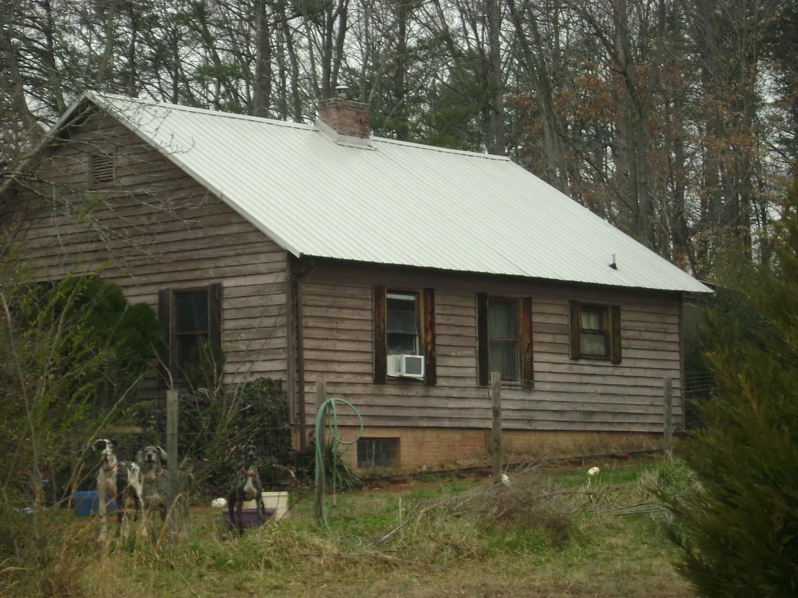 White metal roof on an old wood sided farmhouse, from a Asphalt Shingle Roof Repair job in Caruthers